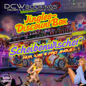 Discounter Box Scheibenwischer